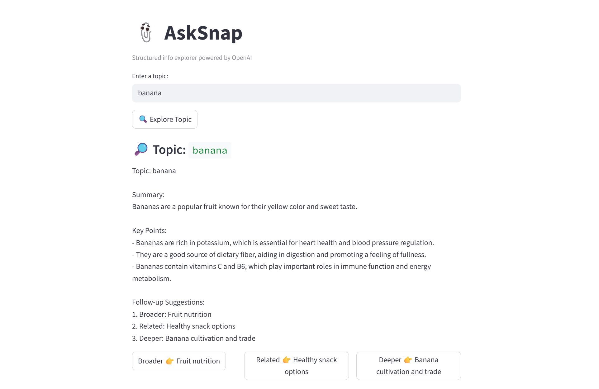 AskSnap – LLM-Based Info Explorer